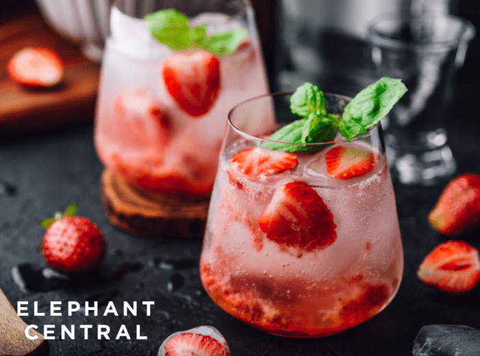 Strawberry based cocktails with the Elephant Central logo overlayed