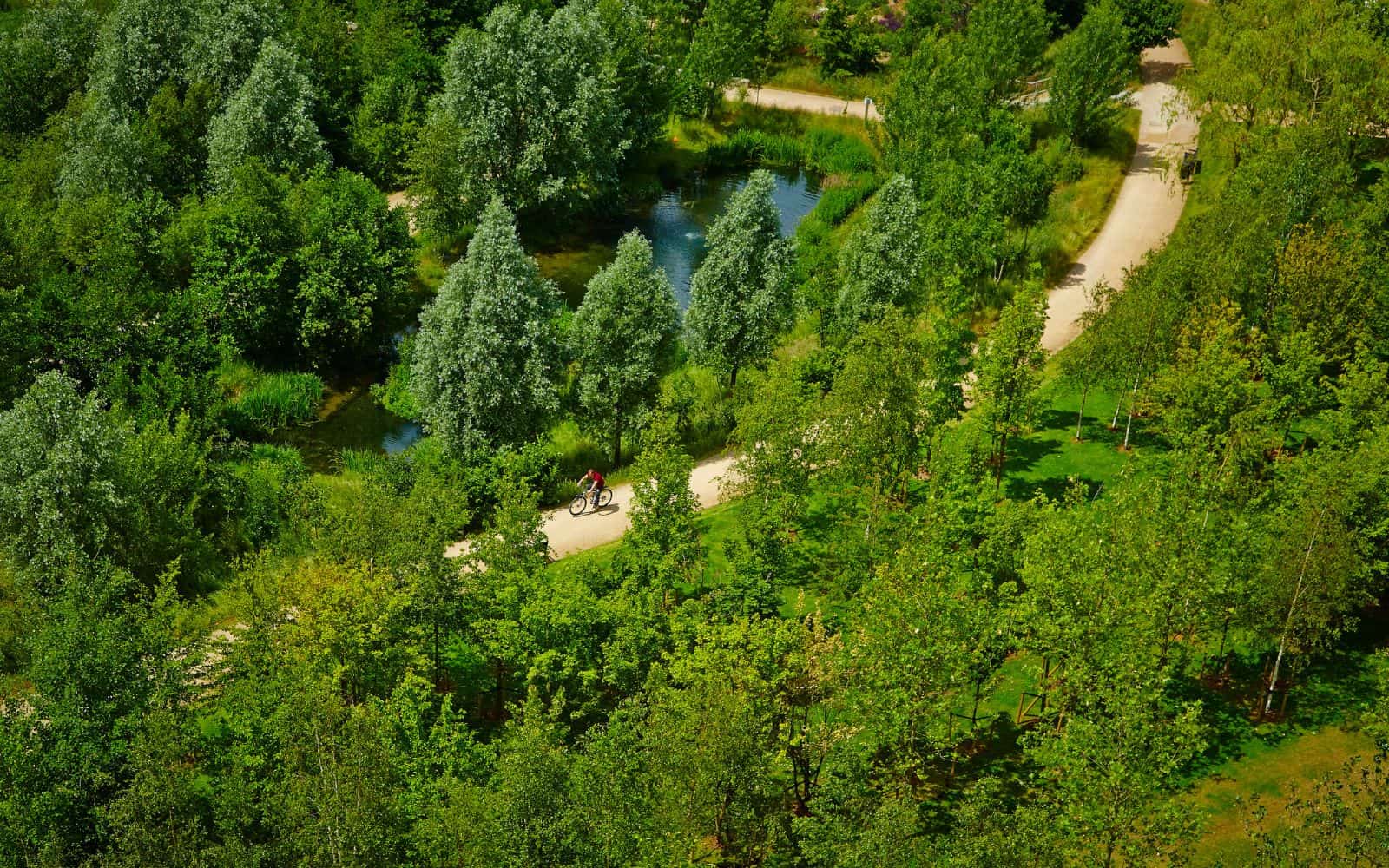 Aerial view of the Wetlands by East Village in Stratford