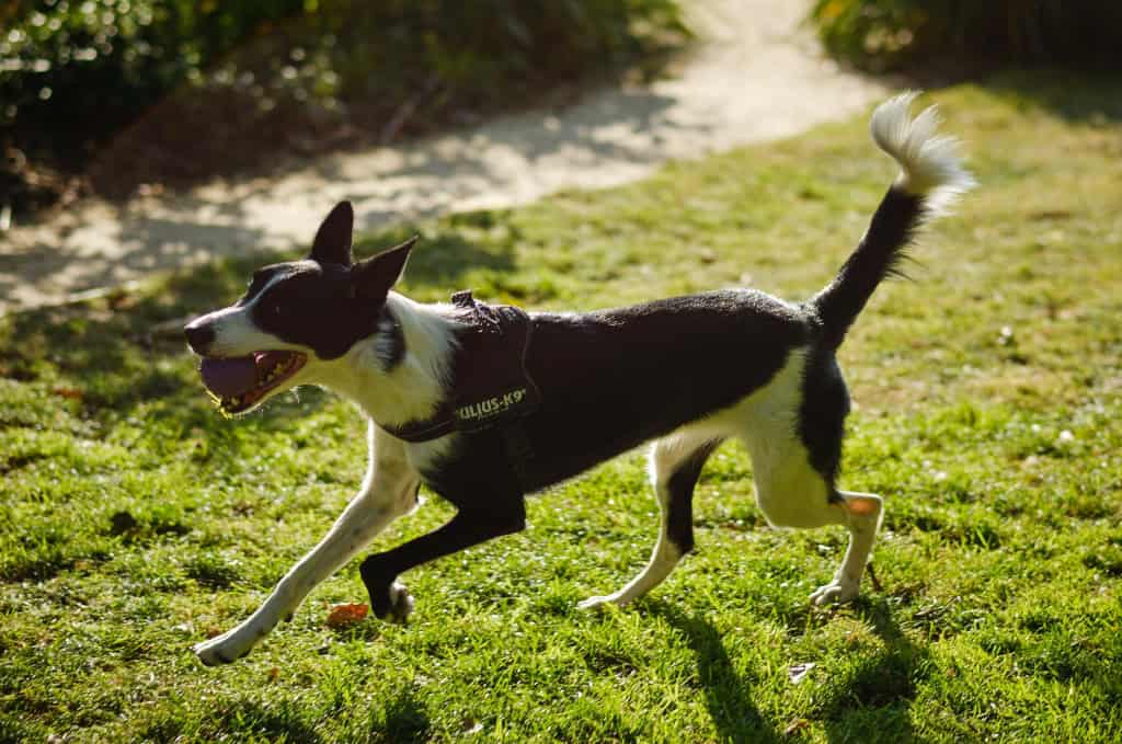 Image 13: Raglan House, London, SE1 6TJ