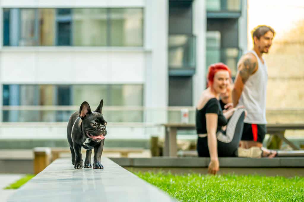 Image 9: Raglan House, London, SE1 6TJ