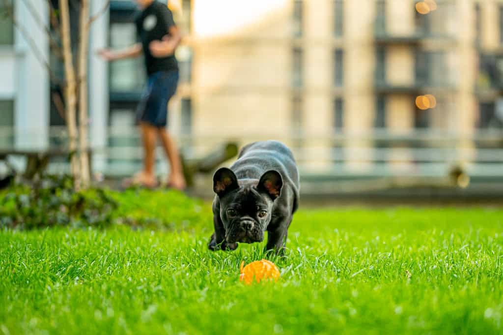 Image 15: Raglan House, London, SE1 6TJ