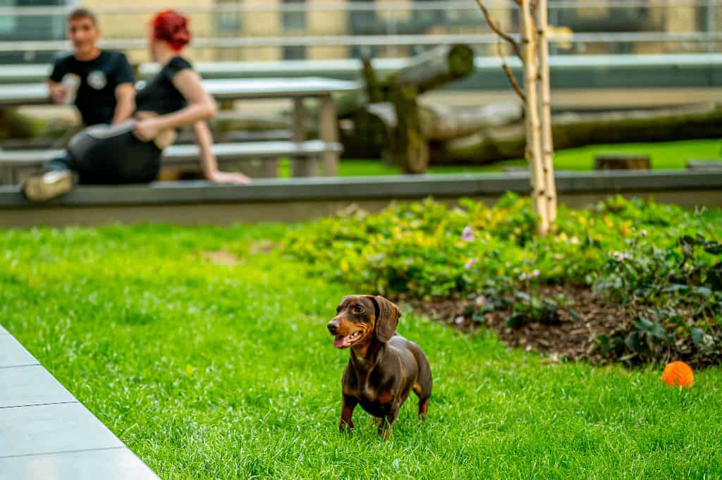 Image 8: Tantallon House, London, SE1 6TJ