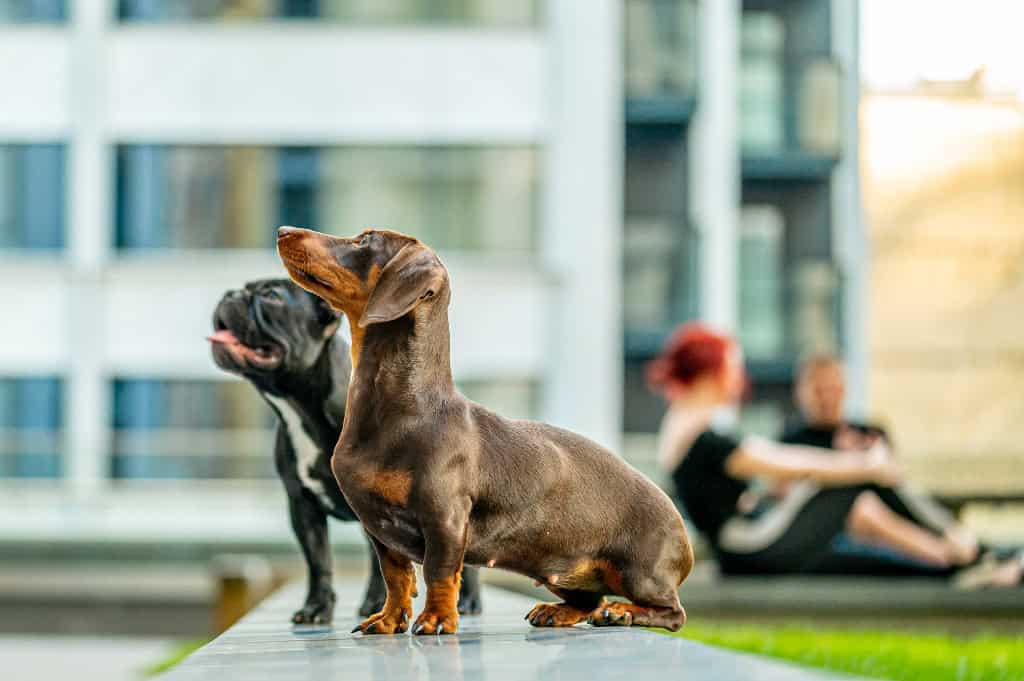 Image 10: Mawes House, London, SE17 1EQ