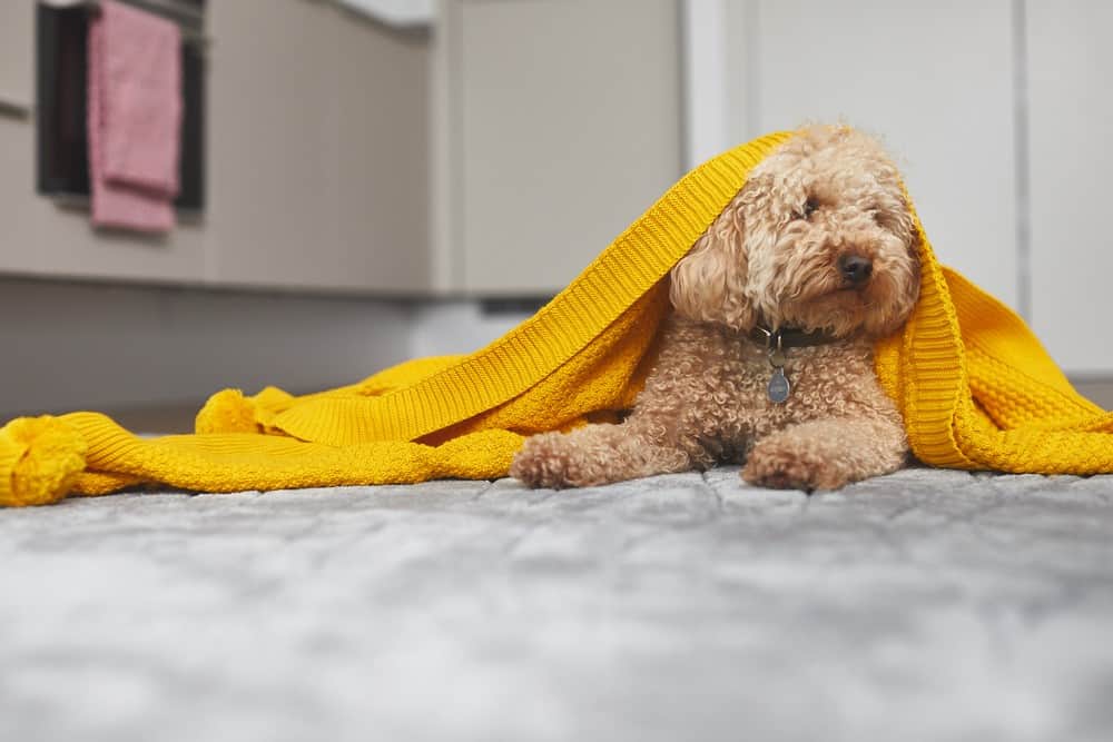 Image 9: Aurelia House, London, E20 1DT