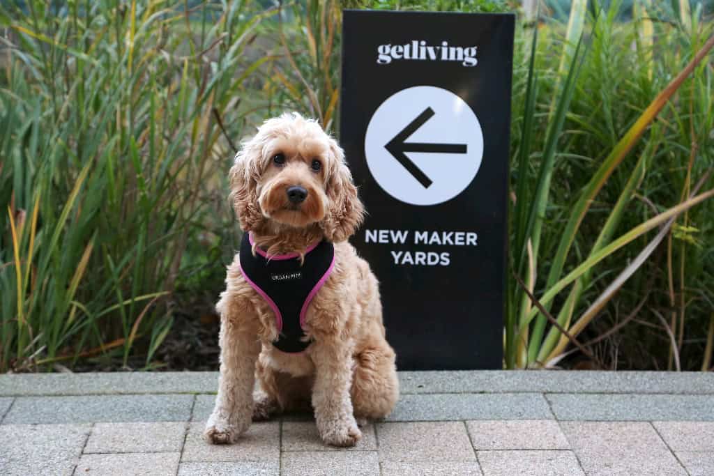 Image 15: Farrier, Manchester, M5 4UY