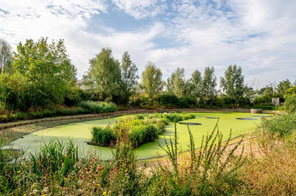 Image 15: Laurel Point, London, E20 1JF