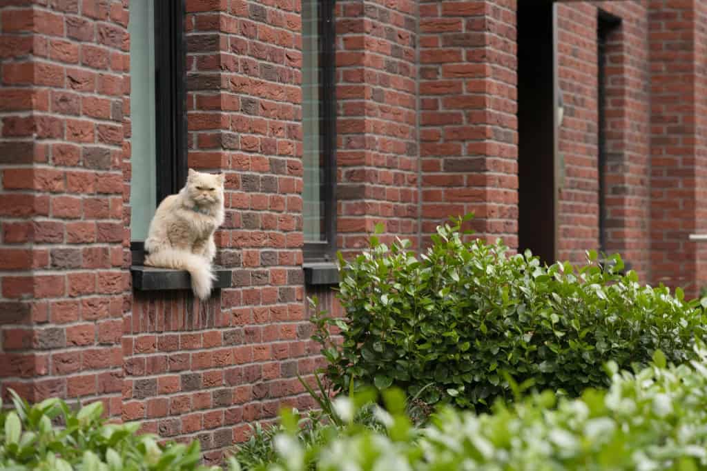 Image 14: Clay, Manchester, M5 4RE