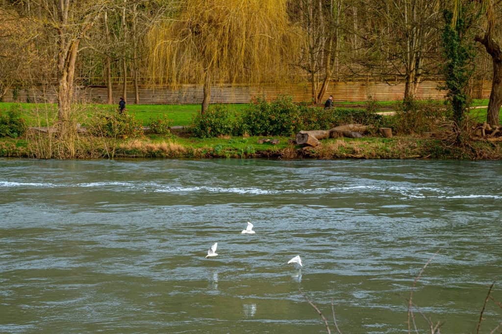 Image 17: Carter House, Maidenhead, SL6 1EB