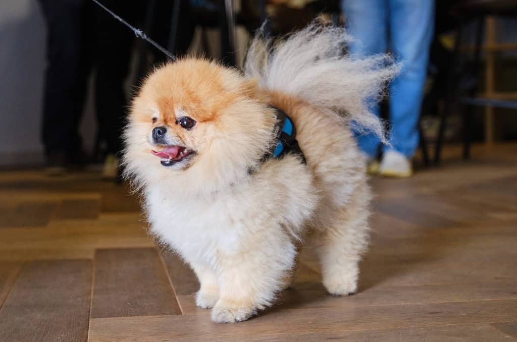 Image 10: Lofting House, Maidenhead, SL6 1ER