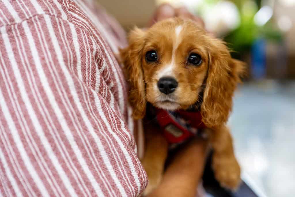 Image 16: Guild Point, Birmingham, B5 6EL