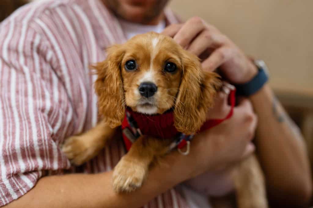 Image 20: Sadlers Place, Birmingham, B5 6EG