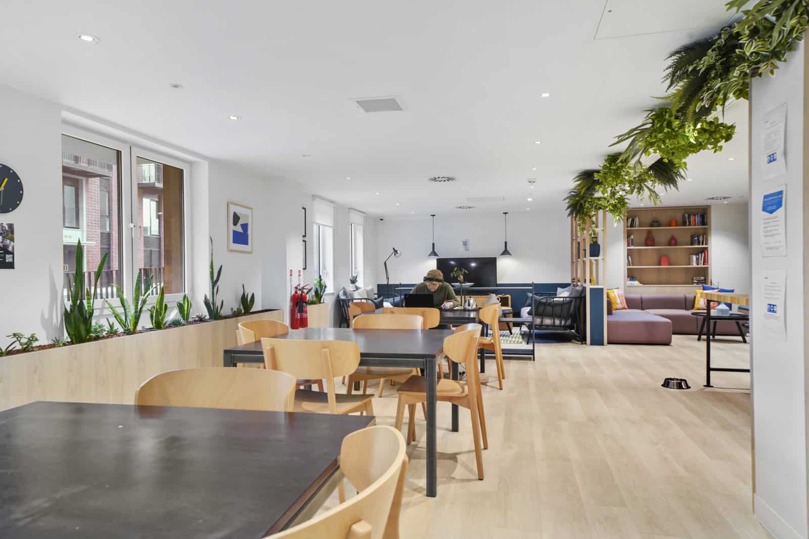 Image 13: Clay, Manchester, M5 4RE