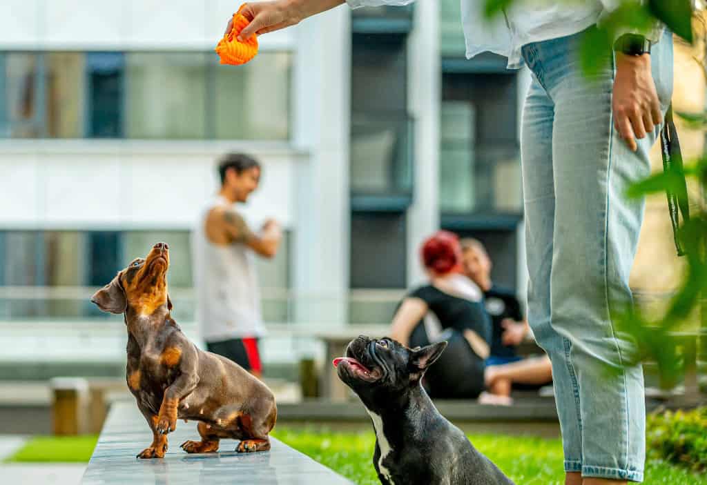 Image 9: Hornby House, Maidenhead, SL6 1NS