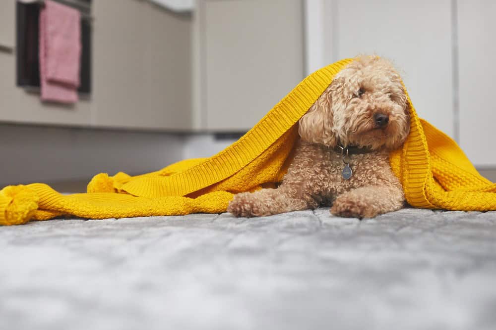 Image 17: Lofting House, Maidenhead, SL6 1ER