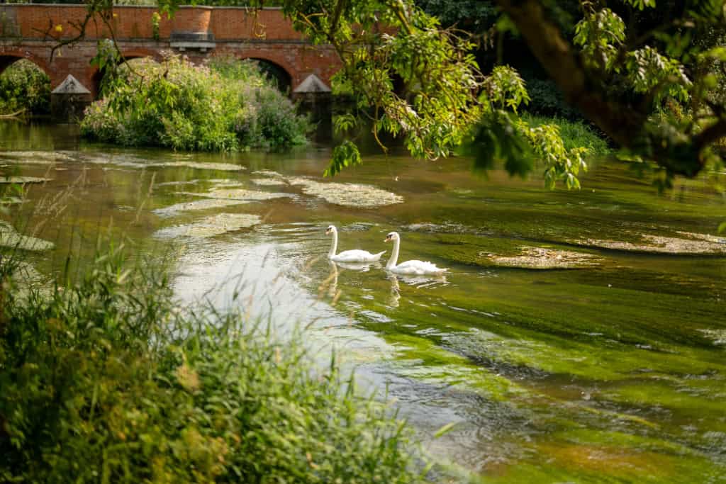 Image 15: The Oakgate, Surrey, KT22 7RZ