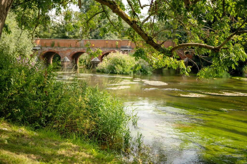 Image 11: The Oakgate, Surrey, KT22 7RZ