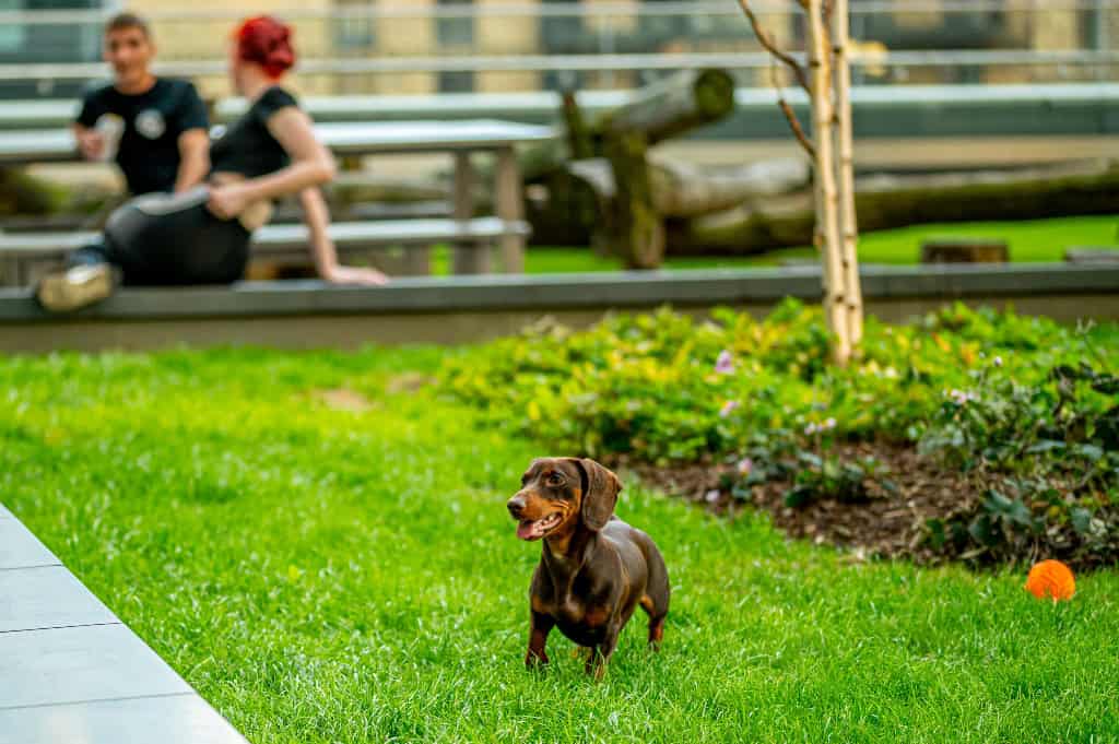 Image 10: Raglan House, London, SE1 6TJ