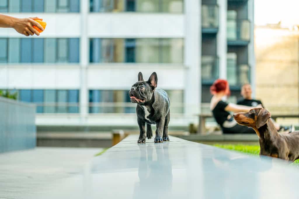 Image 12: Tantallon House, London, SE1 6TJ