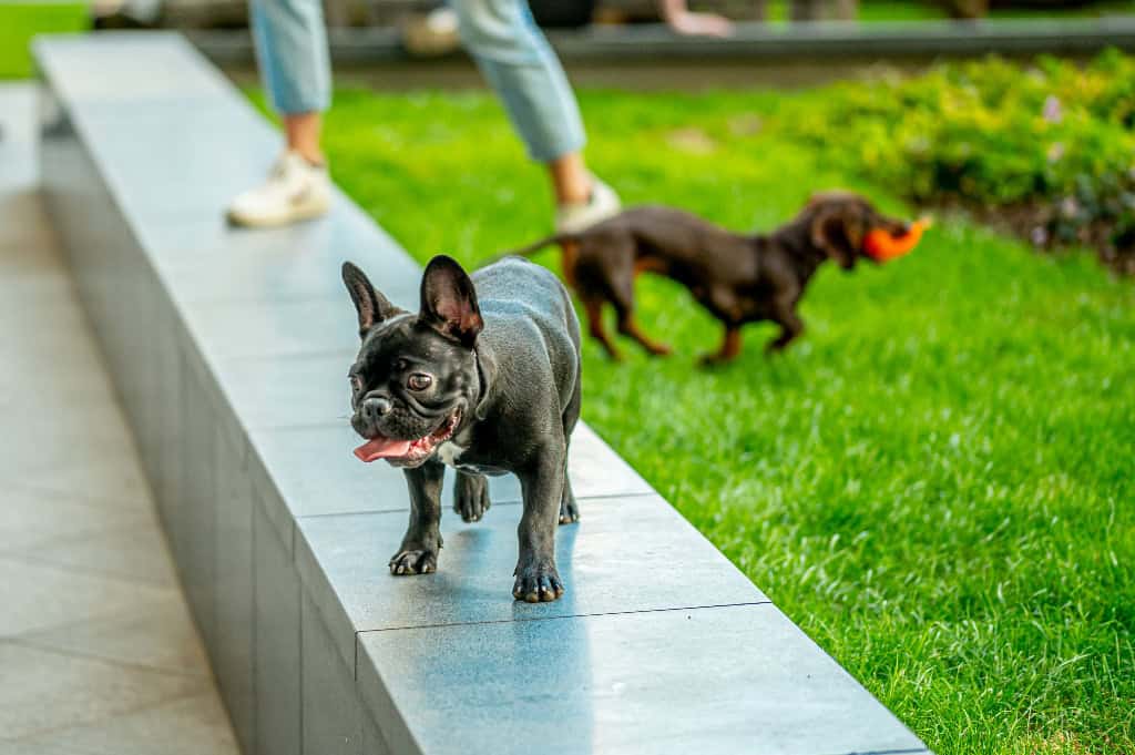 Image 13: Tantallon House, London, SE1 6TJ