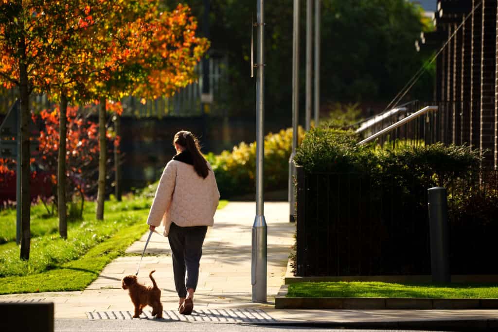 Image 9: Farrier, Manchester, M5 4UY